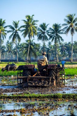 Küçük traktördeki siyah bir çiftçinin dikey görüntüsü.