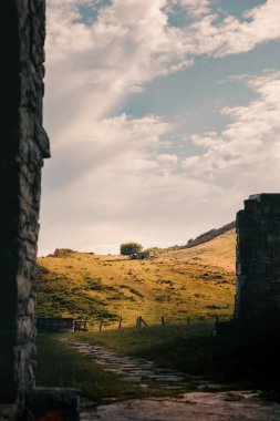 Manzaralı ve yemyeşil bir vadi