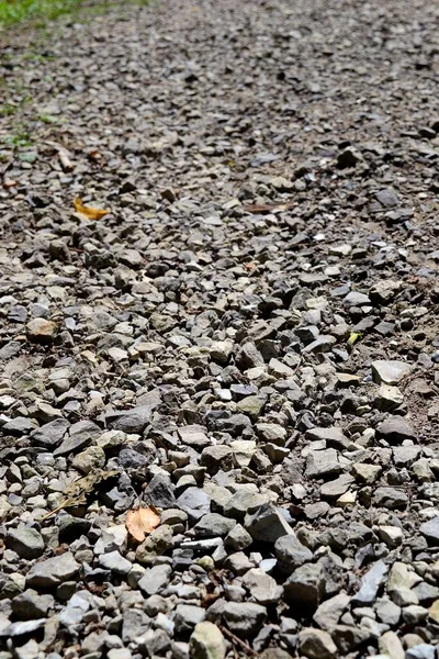 Вертикальне Крупним Планом Текстура Каменів Каміння Землі — стокове фото