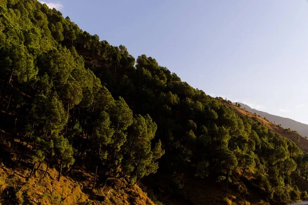 Bergtal Bei Sonnenaufgang Natürliche Sommerlandschaft — Stockfoto