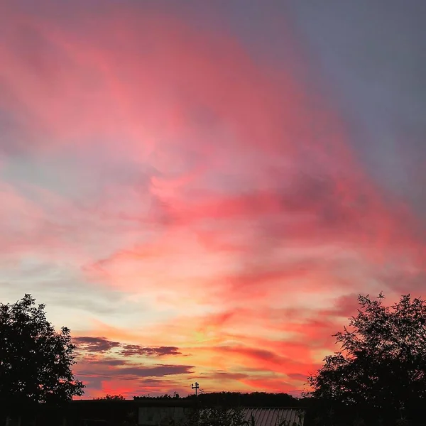 Ein Roter Szenenhimmel Bei Sonnenuntergang Über Silhouettenbäumen Perfekt Für Den — Stockfoto