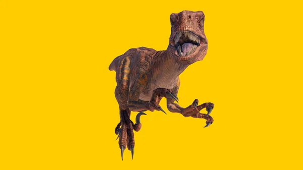 Een Weergave Van Een Brullende Velociraptor Dinosaurus Geïsoleerd Een Gele — Stockfoto