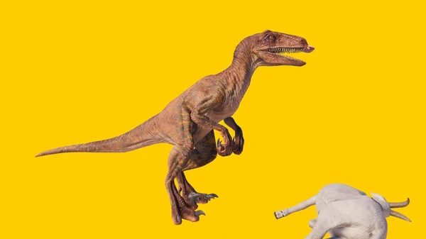 Egy Játék Velociraptor Dinoszaurusz Vadászat Kecske Sárga Alapon — Stock Fotó