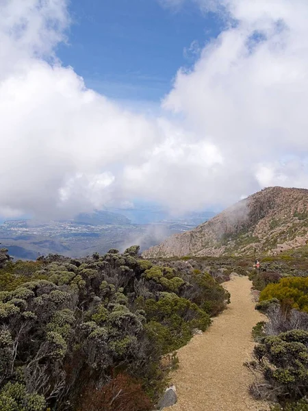 Avustralya Nın Tazmanya Kentindeki Wellington Dağı Nda Yeşil Alanı Çevreleyen — Stok fotoğraf
