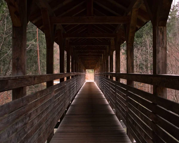 Una Hermosa Vista Una Sombra Ligera Puente Madera Bosque — Foto de Stock