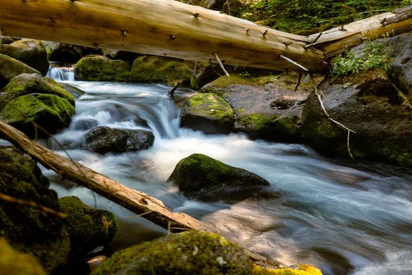 苔で覆われた岩に囲まれた流れる川 — ストック写真