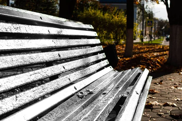 晴れた秋の日にゴメル市の公園で木製のベンチのクローズアップショット — ストック写真