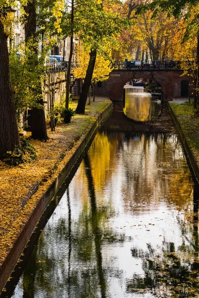 Tiro Vertical Árvores Outono Uma Ponte Sobre Canal Utrecht Países — Fotografia de Stock