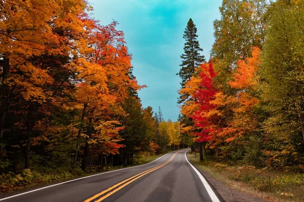 Uma Estrada Asfalto Passando Por Uma Floresta Hipnotizante Cores Outono — Fotografia de Stock