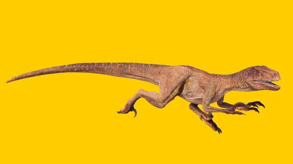 노란색 배경에 고립된 랍토르 공룡을 — 스톡 사진