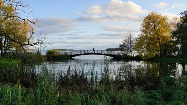 Uma Bela Vista Uma Ponte Sobre Rio Cercada Por Árvores — Fotografia de Stock