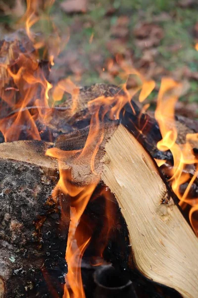 炎の中で激しく燃える木の丸太の垂直閉鎖 — ストック写真