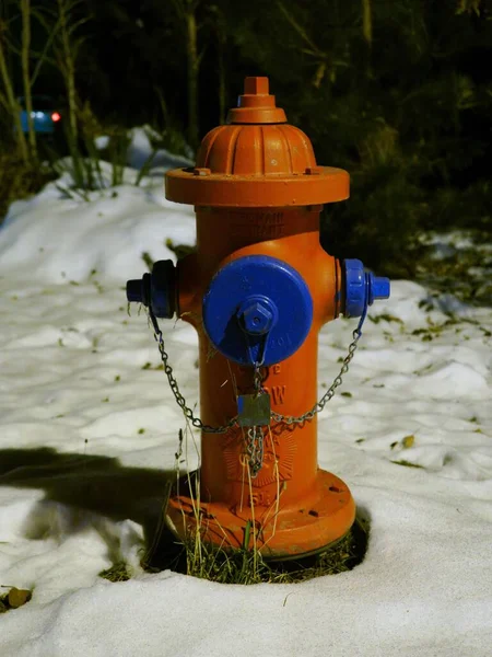 Eine Vertikale Aufnahme Eines Feuerhydranten Schönen Wald — Stockfoto