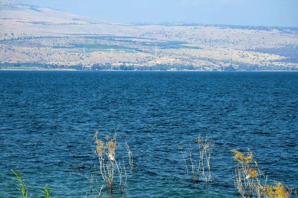 Krajobraz Jeziorze Kineret Morze Galilejskie Tyberiady Północny Izrael — Zdjęcie stockowe