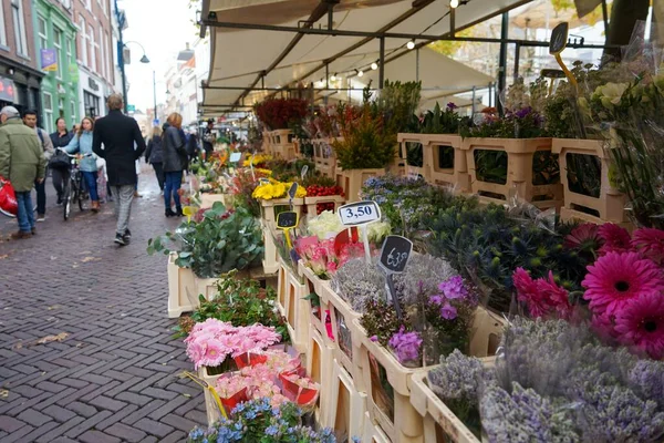 Kleurrijke Bloemen Nederlandse Bloemenmarkt — Stockfoto