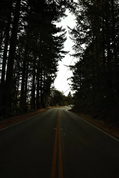 一条被树木环绕的空旷道路的垂直拍 — 图库照片