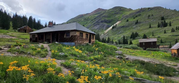 Les Maisons Dans Nature Sauvage Ouray Colorado Avec Des Collines — Photo