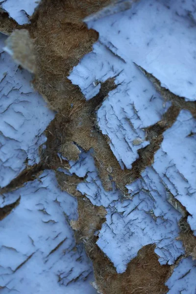 Vertical Closeup Shot Old Blue Damaged Wooden Door Texture — Stock Photo, Image