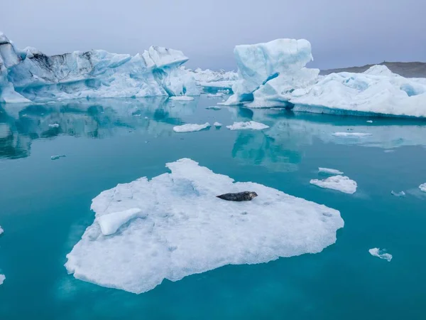 Αεροφωτογραφία Των Παγετώνων Στη Θάλασσα — Φωτογραφία Αρχείου