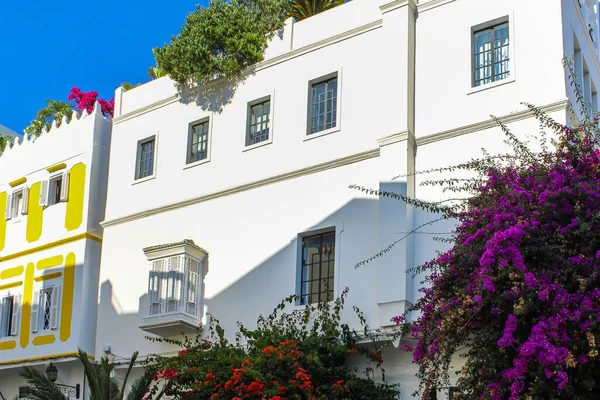 白色的建筑物 摩洛哥丹吉尔的传统房屋 周围环绕着美丽的开花植物 — 图库照片