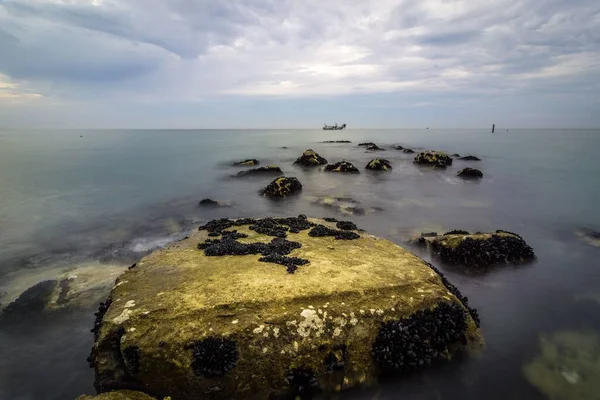 Deniz Suyuna Giden Yosunlu Taşların Yüksek Açılı Görüntüsü — Stok fotoğraf