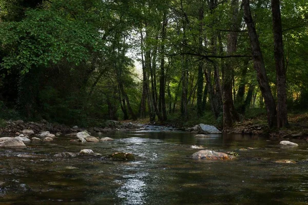 Malebná Skalnatá Řeka Tekoucí Lesem Sarconi Itálie — Stock fotografie