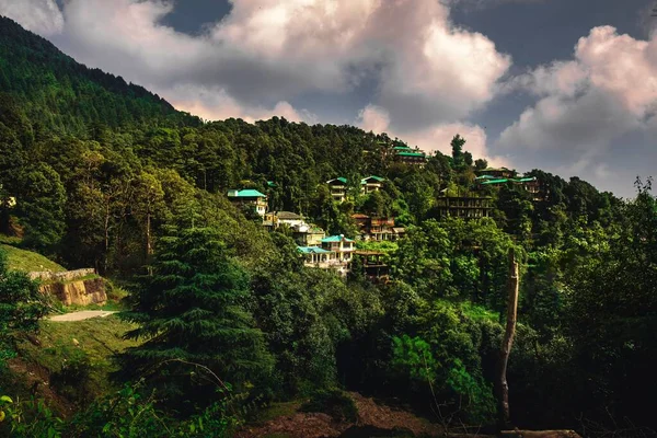 Beautiful Shot Mcleod Ganj Suburb Houses Green Forest Cloudy Sky — Stock Photo, Image
