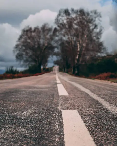 道路の真ん中に強い白い線を持つ灰色のアスファルトの田舎道 — ストック写真