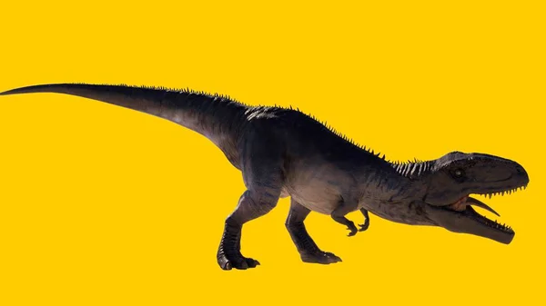 黄色の背景に大きな口が孤立したギガノトサウルスの恐竜の轟音のイラスト — ストック写真