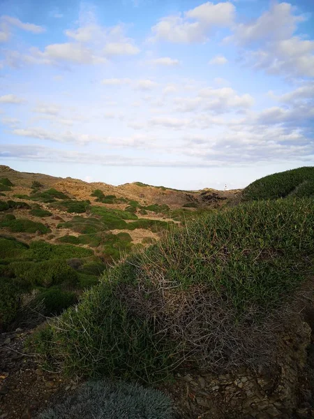 メノルカ島周辺の緑の植生は — ストック写真