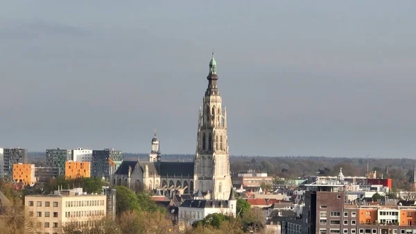 Breda Daki Grote Kerk Katedralinin Güzel Bir Fotoğrafı — Stok fotoğraf