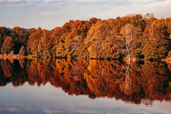 Een Schilderachtige Opname Van Herfst Bomen Weerkaatsend Het Wateroppervlak — Stockfoto