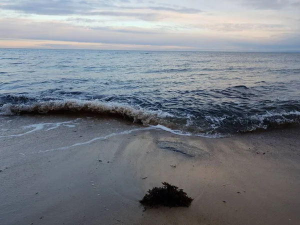 Okyanusun Sakin Köpüklü Dalgaları Arka Planda Ufuk Olan Kumlu Kıyıya — Stok fotoğraf