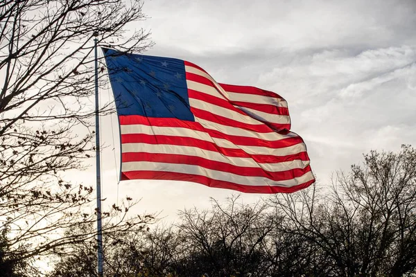 Strzał Zbliżeniowy Flagi Stanów Zjednoczonych Ameryki Otoczonej Gałęziami Drzew — Zdjęcie stockowe