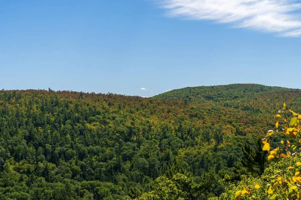 날푸른 나무들로 덮인케 반도의 언덕들의 — 스톡 사진