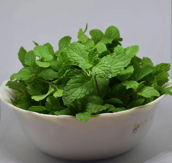 Mint Leaves Bowl — Stock Photo, Image