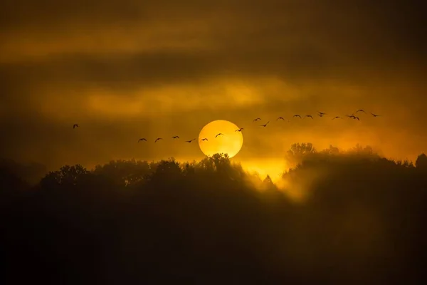 Piękny Zachód Słońca Widok Drzewami Mglisty Dzień — Zdjęcie stockowe