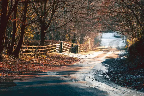Piękne Ujęcie Ścieżki Pokrytej Śniegiem Otoczonej Kolorowymi Drzewami — Zdjęcie stockowe