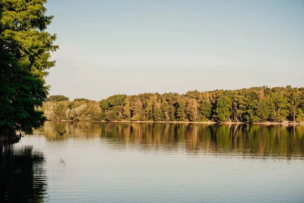 Живописный Природный Пейзаж Лиственными Деревьями Леса Окружающего Неподвижное Озеро — стоковое фото