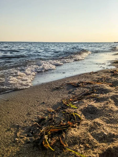 Sandy Beach Dried Plants Splashing Sea Waves Sunset Sky Vertical — Stock Photo, Image