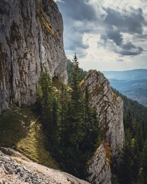 岩石上森林的垂直镜头 — 图库照片