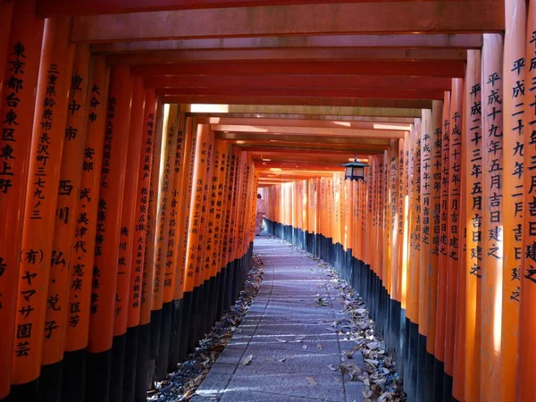 Uma Bela Vista Santuário Inari Fushimi Kyoto Japão — Fotografia de Stock