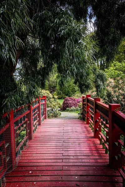 Tiro Vertical Uma Ponte Madeira Vermelha Cercada Por Árvores — Fotografia de Stock