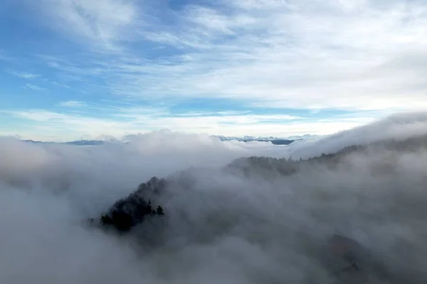 stock image An aerial shot of a forest of evergreen trees covered in fog under the blue sky