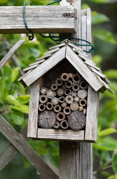 Вертикальный Кадр Бамбука Деревянный Ручной Пчелиный Домик Саду — стоковое фото