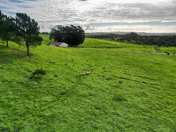 Ένα Πράσινο Τοπίο Συννεφιασμένο Ουρανό Στο Παρασκήνιο Στην Πορτογαλία — Φωτογραφία Αρχείου