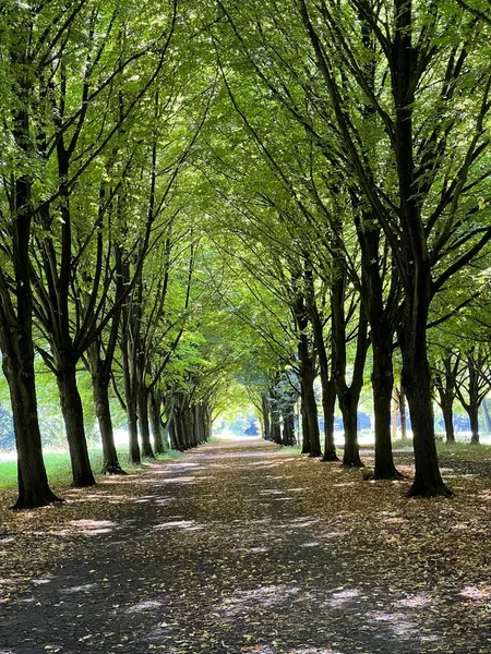Caminho Parque Amsterdã Holanda — Fotografia de Stock