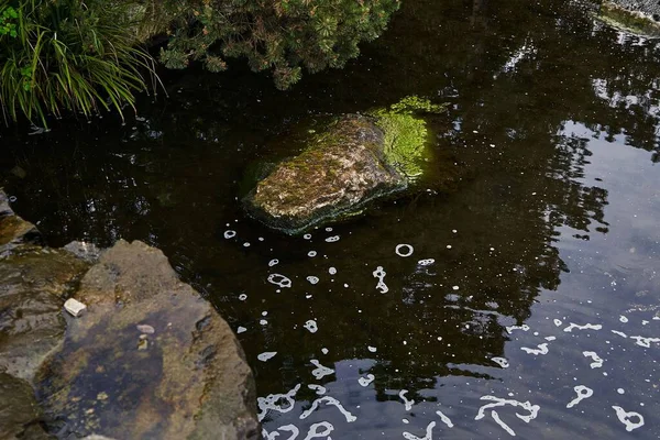 High Angle Shot Mossy Rocks Dirty Lake — Stock Photo, Image