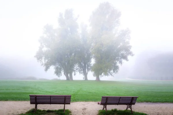 两个空荡荡的公园长椅 面对着一片绿叶茂密的大树 躲藏在一座风景秀丽的公园的雾气后面 — 图库照片
