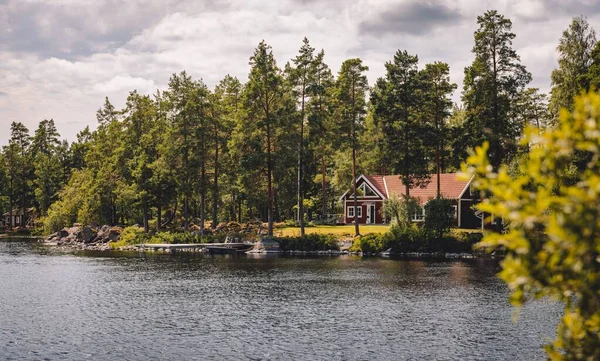 Eine Atemberaubende Kulisse Einer Waldlandschaft Mit Einem Holzhaus Und Hohen — Stockfoto